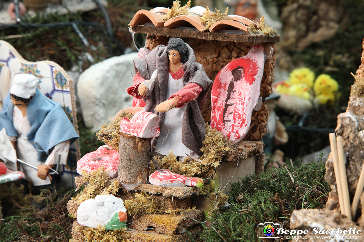 VBS_6961 - Presepe Meccanico di Nonna Rosi 2024.jpg